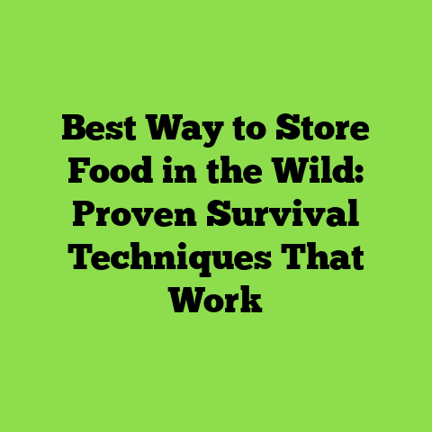 Best Way to Store Food in the Wild: Proven Survival Techniques That Work