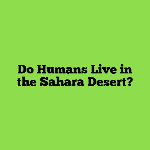 Do Humans Live in the Sahara Desert?