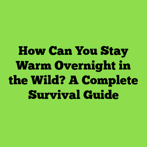 How Can You Stay Warm Overnight in the Wild? A Complete Survival Guide