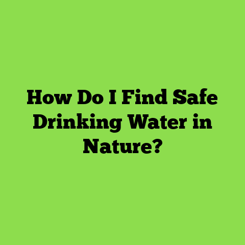 How Do I Find Safe Drinking Water in Nature?