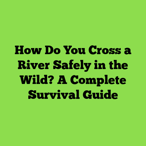 How Do You Cross a River Safely in the Wild? A Complete Survival Guide