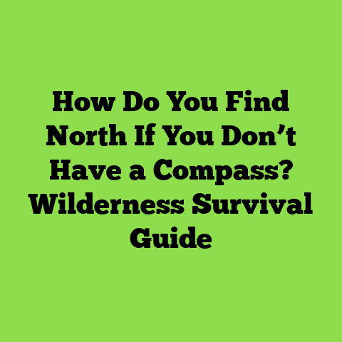 How Do You Find North If You Don’t Have a Compass? Wilderness Survival Guide