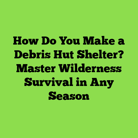 How Do You Make a Debris Hut Shelter? Master Wilderness Survival in Any Season