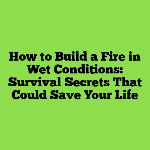 How to Build a Fire in Wet Conditions: Survival Secrets That Could Save Your Life