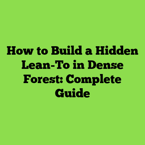 How to Build a Hidden Lean-To in Dense Forest: Complete Guide