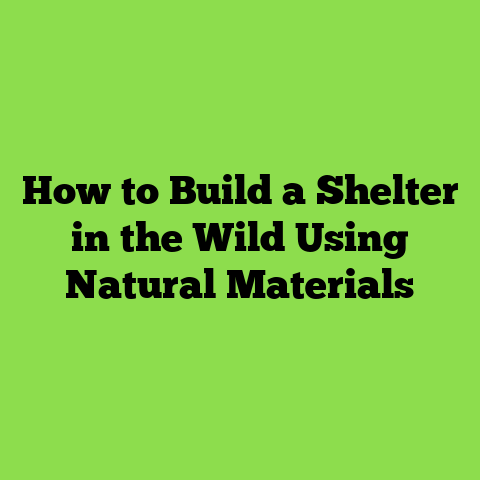 How to Build a Shelter in the Wild Using Natural Materials