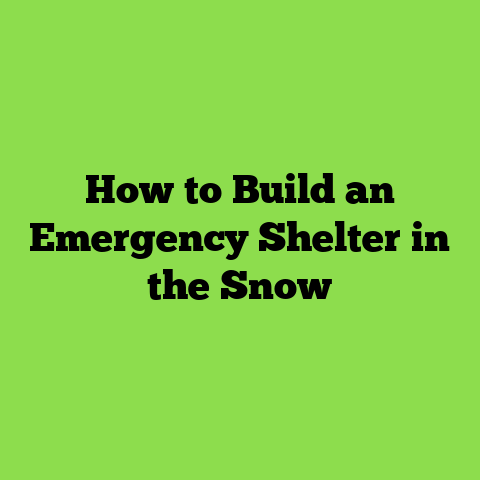 How to Build an Emergency Shelter in the Snow
