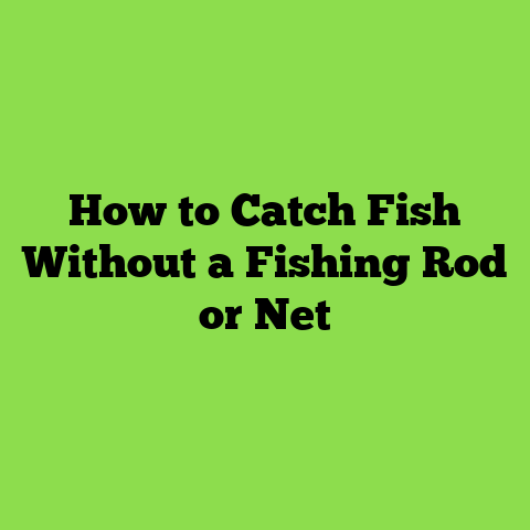 How to Catch Fish Without a Fishing Rod or Net