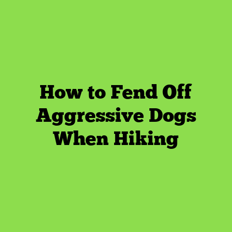 How to Fend Off Aggressive Dogs When Hiking