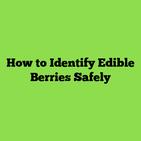How to Identify Edible Berries Safely