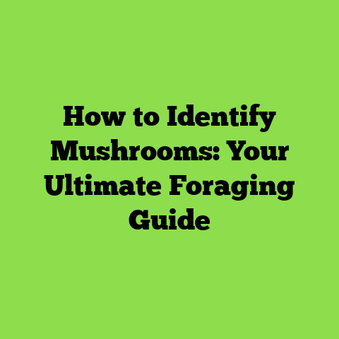 How to Identify Mushrooms: Your Ultimate Foraging Guide