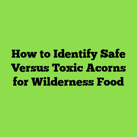 How to Identify Safe Versus Toxic Acorns for Wilderness Food