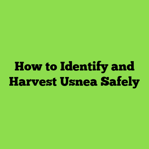How to Identify and Harvest Usnea Safely