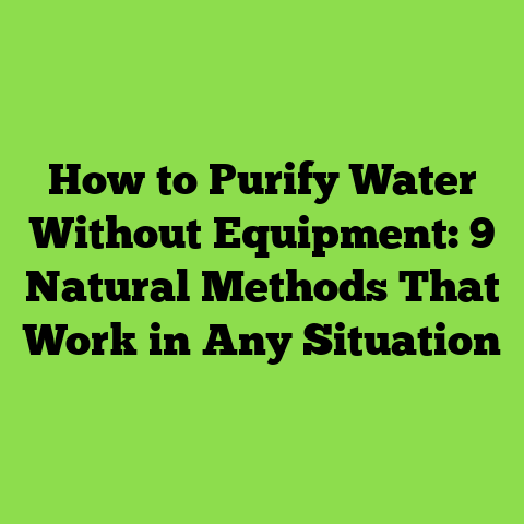 How to Purify Water Without Equipment: 9 Natural Methods That Work in Any Situation