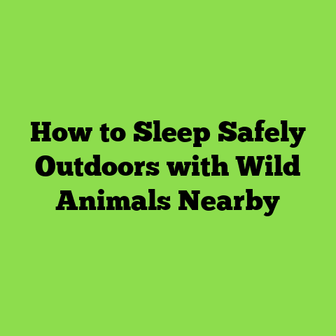 How to Sleep Safely Outdoors with Wild Animals Nearby