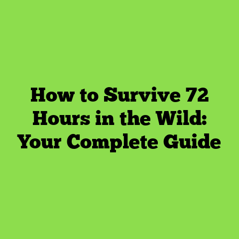 How to Survive 72 Hours in the Wild: Your Complete Guide