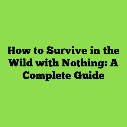How to Survive in the Wild with Nothing: A Complete Guide