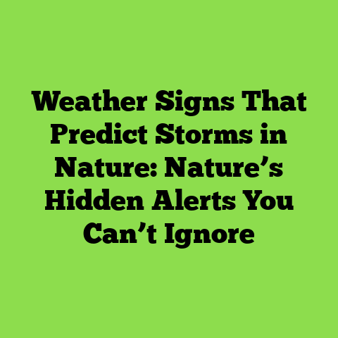 Weather Signs That Predict Storms in Nature: Nature’s Hidden Alerts You Can’t Ignore