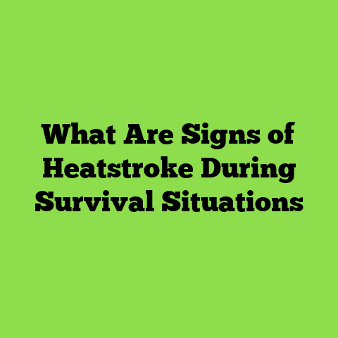 What Are Signs of Heatstroke During Survival Situations