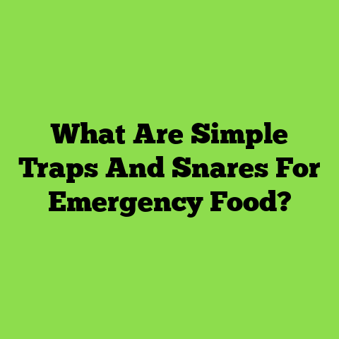 What Are Simple Traps And Snares For Emergency Food?