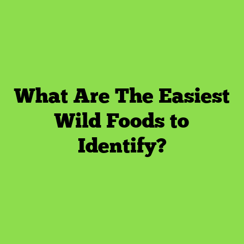 What Are The Easiest Wild Foods to Identify?