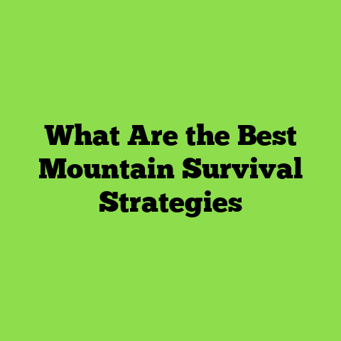 What Are the Best Mountain Survival Strategies