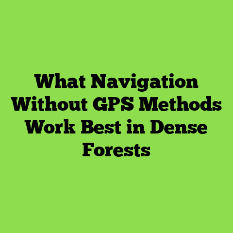What Navigation Without GPS Methods Work Best in Dense Forests