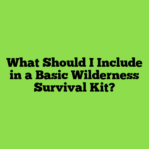 What Should I Include in a Basic Wilderness Survival Kit?
