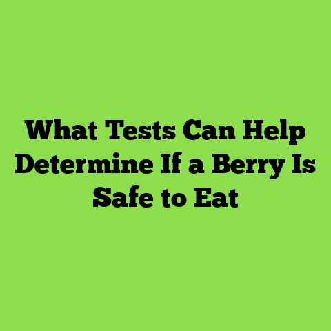 What Tests Can Help Determine If a Berry Is Safe to Eat
