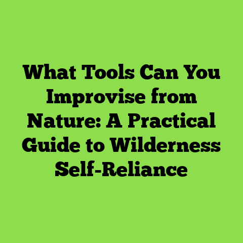 What Tools Can You Improvise from Nature: A Practical Guide to Wilderness Self-Reliance