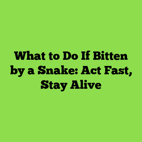 What to Do If Bitten by a Snake: Act Fast, Stay Alive