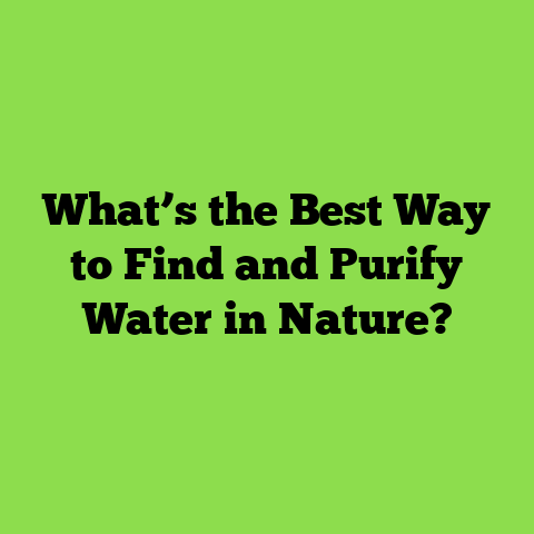 What’s the Best Way to Find and Purify Water in Nature?