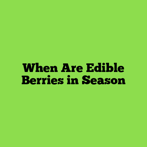 When Are Edible Berries in Season