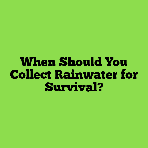 When Should You Collect Rainwater for Survival?