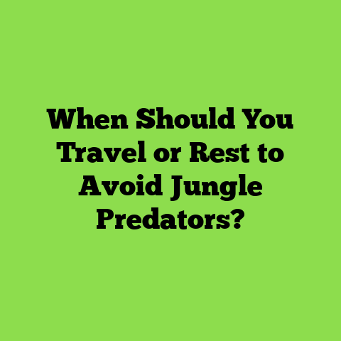 When Should You Travel or Rest to Avoid Jungle Predators?