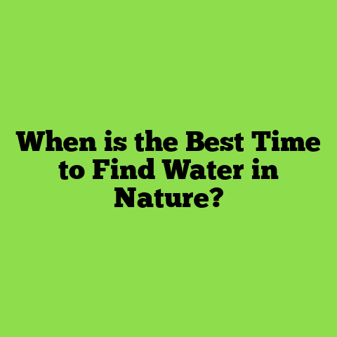 When is the Best Time to Find Water in Nature?