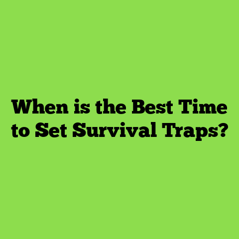 When is the Best Time to Set Survival Traps?
