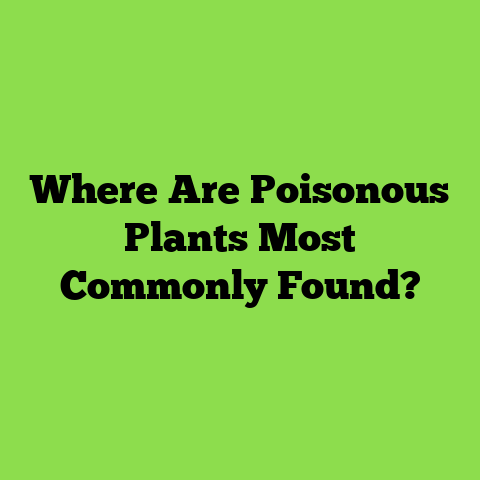 Where Are Poisonous Plants Most Commonly Found?