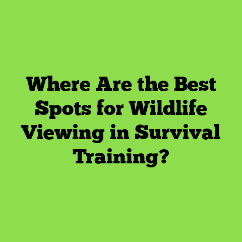 Where Are the Best Spots for Wildlife Viewing in Survival Training?