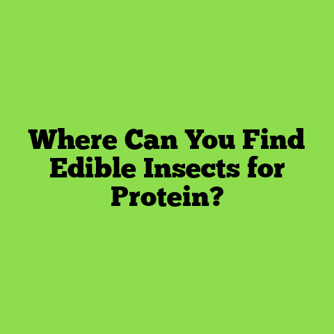 Where Can You Find Edible Insects for Protein?