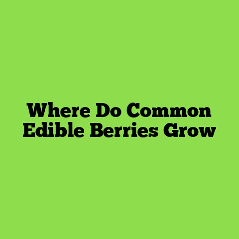 Where Do Common Edible Berries Grow