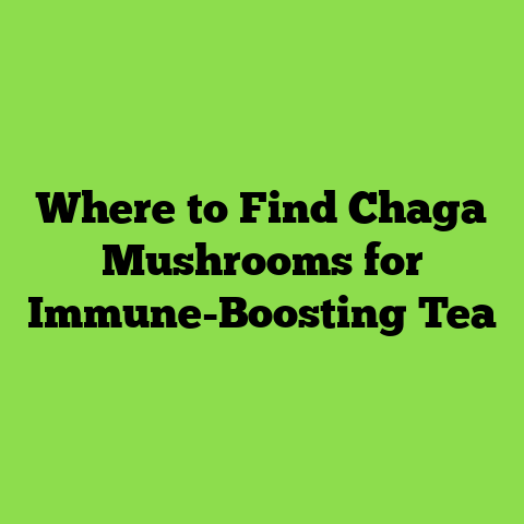 Where to Find Chaga Mushrooms for Immune-Boosting Tea