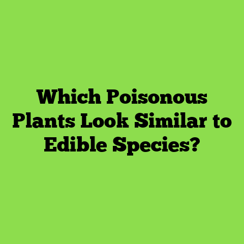 Which Poisonous Plants Look Similar to Edible Species?