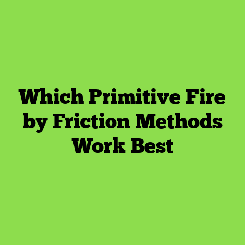 Which Primitive Fire by Friction Methods Work Best
