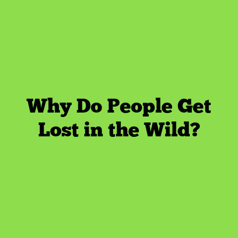 Why Do People Get Lost in the Wild?