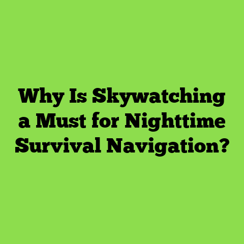 Why Is Skywatching a Must for Nighttime Survival Navigation?