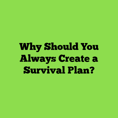 Why Should You Always Create a Survival Plan?